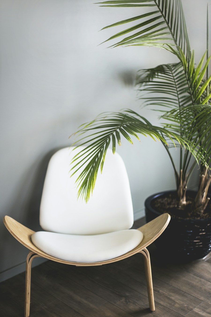 A sculpted plywood lounge chair with white cushions beside a palm